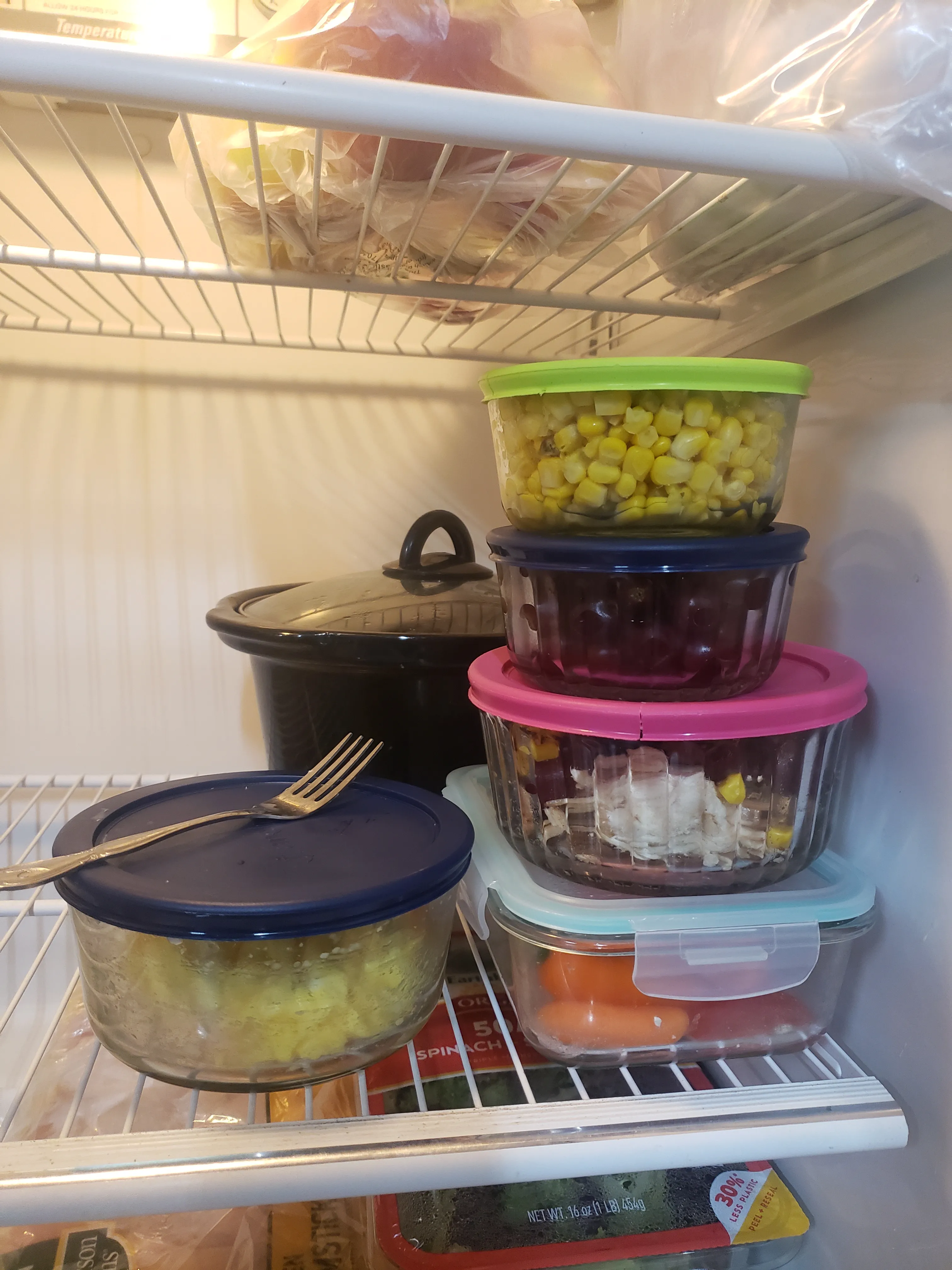 The fridge stack with color-coded lids